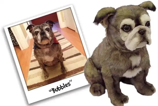 Jak wybrać pluszowego psa jak żywego? Poradnik dla rodziców