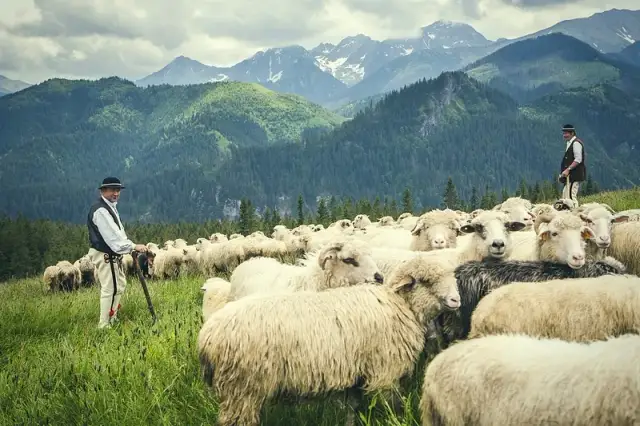 Bacówka 2 Zakopane: Odkryj górski azyl tradycji i smaku