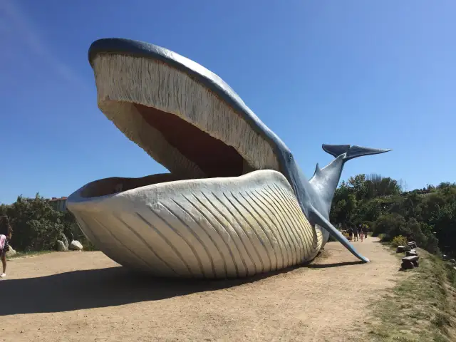 Co warto zobaczyć w Jastarni i jakie atrakcje są warte odwiedzenia