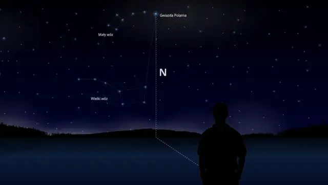 Jak określić kierunki świata bez kompasu i uniknąć zagubienia