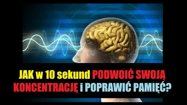 Jak ćwiczyć pamięć u dorosłych - skuteczne metody na poprawę pamięci
