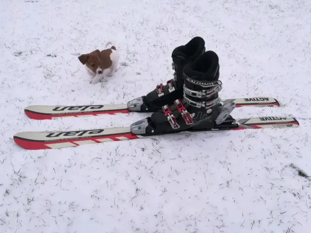 Małe narty na buty - idealne rozwiązanie na zimowe przygody