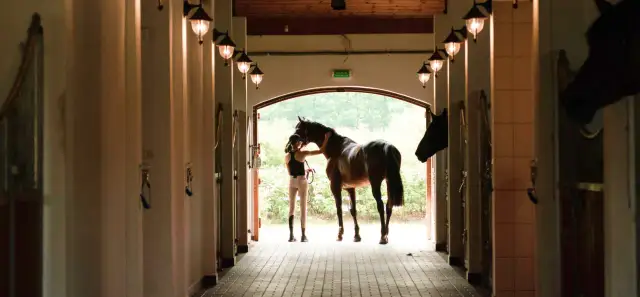 W ośrodku jeździeckim Golden Horse młoda kobieta pieści konia przy wyjściu z boksu.