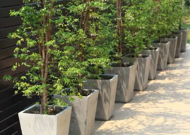 Jak zrobić donice z cementu – prosty poradnik dla początkujących i efektowne pomysły