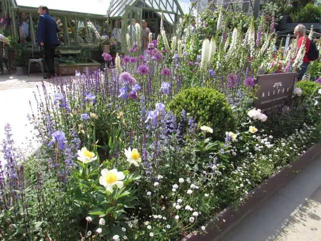 Ogród kwitnący cały rok: Sekrety roślin i aranżacji