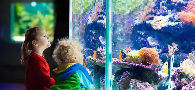 Oceanarium Opole: Odkryj fascynujący Wodny Świat i jego atrakcje