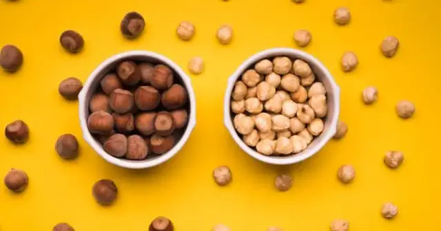 Pies i orzechy pekan: Zdecydowanie NIE! Toksyczne zagrożenie