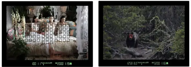 Smartfon vs lustrzanka: Który wybór zapewni lepsze zdjęcia?