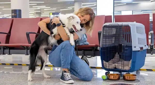 Czy Wizzair przewozi zwierzęta? Co musisz wiedzieć przed lotem