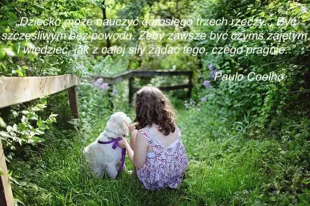 Magiczne cytaty o tym jak każdy ma coś z dziecka: Znajdź swoje marzenia