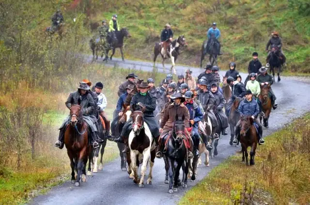 Gładyszów stadnina: historia, atrakcje i hodowla koni huculskich