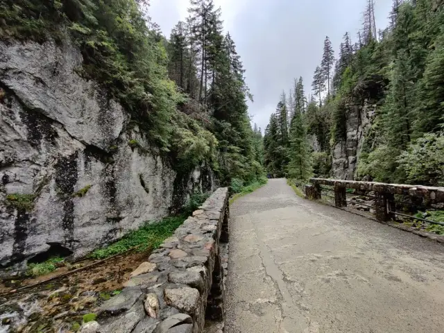 Dolina Kościeliska bez kolejki - Jak najłatwiej dojechać na miejsce