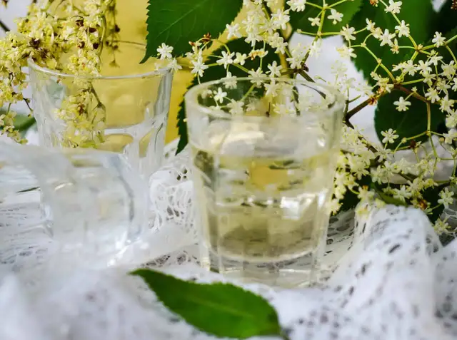 Gdzie kupić nalewkę ciechocińską z kwiatu czarnego bzu? Sprawdź!