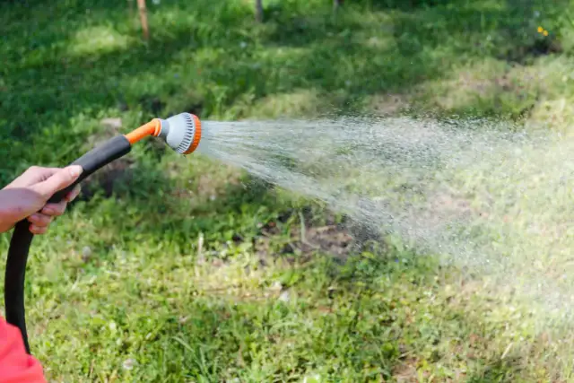 Ile wody pobiera zraszacz? Sprawdź, by uniknąć marnotrawstwa