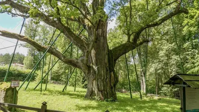 Najlepsze atrakcje we Włoszczowej, które musisz zobaczyć podczas wizyty