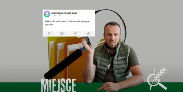 Jaki nawóz na lucernę? Kluczowe składniki dla lepszych plonów