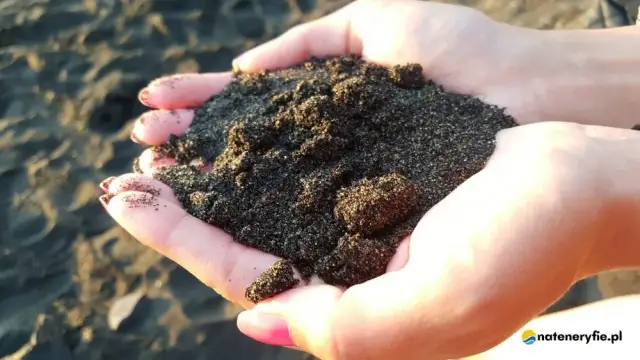 Kanaryjskie pułapki: Czego nie wywozić, by uniknąć kar na lotnisku?