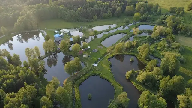 Stary Młyn: Które łowisko i smażalnia są dla Ciebie? Przewodnik