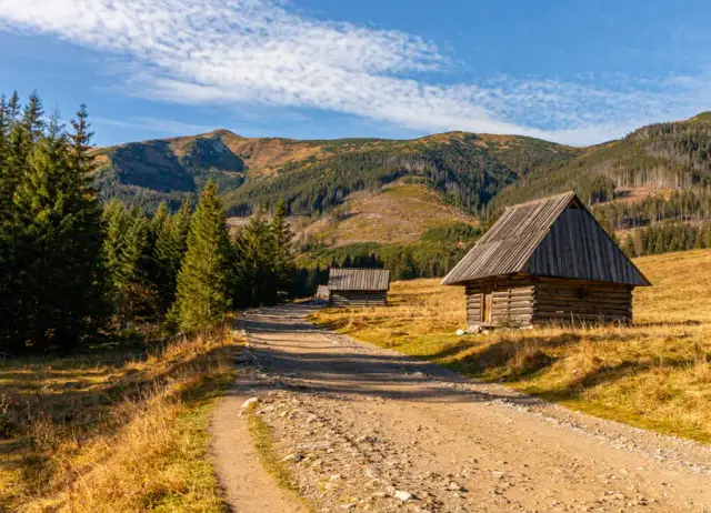 Tapeta z doliną chochołowską: jak mądrze wybrać i nie żałować decyzji