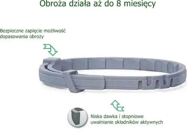 Obroża Foresto czy tabletki - co wybrać dla swojego psa?