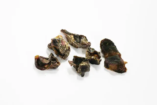 Ile gotować żołądki drobiowe dla psa, aby były zdrowe i bezpieczne?