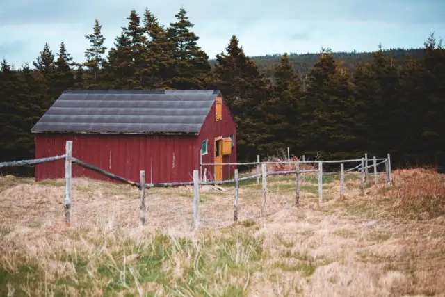 Jakie kary grożą za mieszkanie w budynku gospodarczym bez zgody?