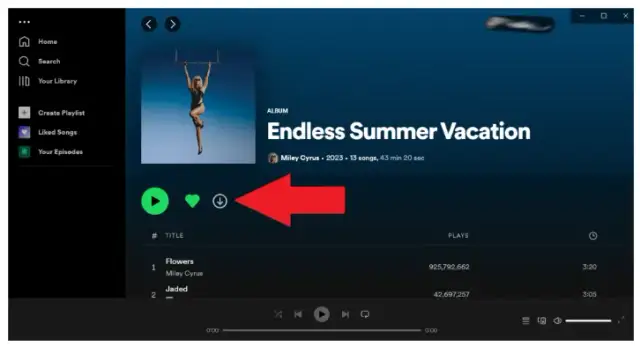 Cómo descargar música de Spotify a mi PC sin complicaciones y fácil