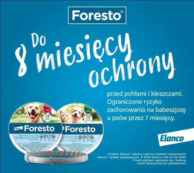 Obroża Foresto kiedy zdjąć - ważne informacje o czasie noszenia