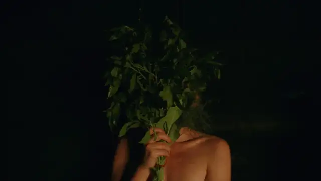 Recenzja Siostrzeństwo Świętej Sauny, jak wypada nowy film z 2023 roku?