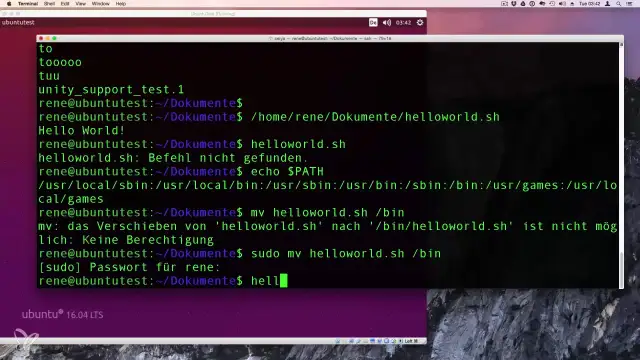 Terminal z poleceniami, w tym próba `export bash`. Widoczne są komunikaty o błędach i ścieżki systemowe.