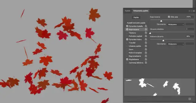 Jak zrobić pędzel w Photoshopie – krok po kroku do perfekcji