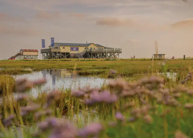 Sankt Peter-Ording: Gastro-Guide für Fisch, Pfahlbauten & mehr
