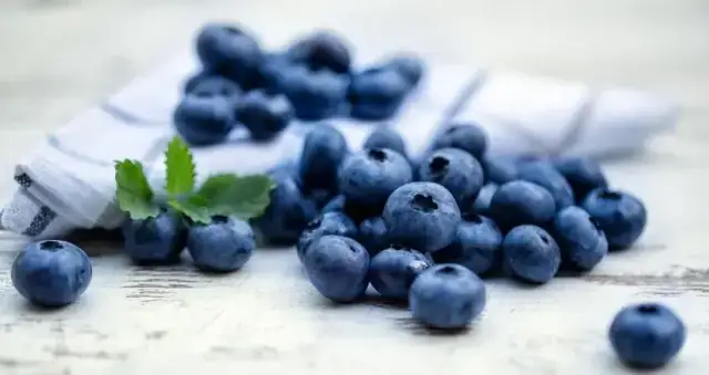 Czy pies może jeść borówki amerykańskie? Bezpieczne porcje i ryzyka