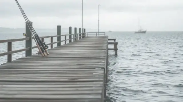 Kiedy łowić śledzie w Bałtyku? Najlepsze pory, miejsca i techniki