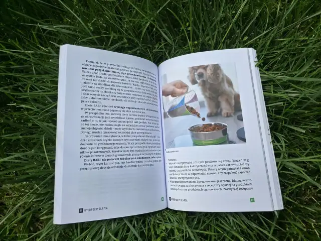 Szczeniak dostaje karmę z miarki do miski. Dowiedz się, ile karmy podawać szczeniakowi, by był zdrowy.