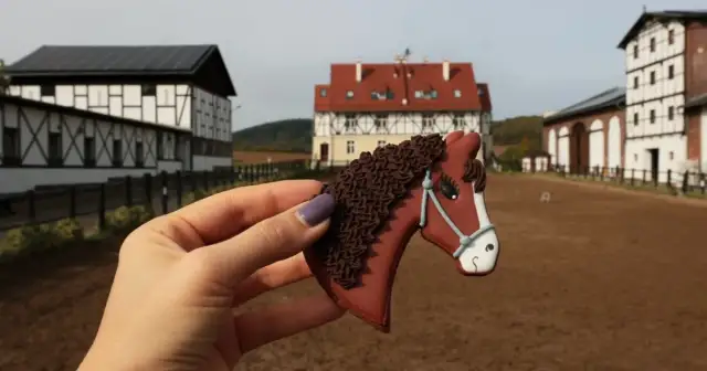 Najlepsze stajnie w Dolnym Śląsku: nauka jazdy konnej i hipoterapia