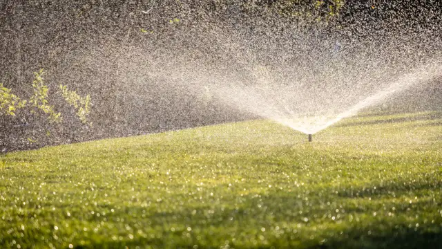 Zraszacz bijakowy na trawniku, rozpylający wodę w złotym świetle.