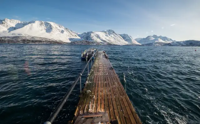 Najlepsze atrakcje w Tromsø, które musisz zobaczyć podczas wizyty