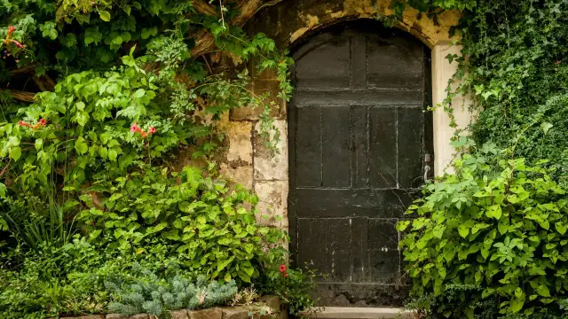 Frances Hodgson Burnett - autor książki tajemniczy ogród i jej wpływ