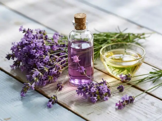 Olejek lawendowy: Jak stosować? Bezpieczny przewodnik