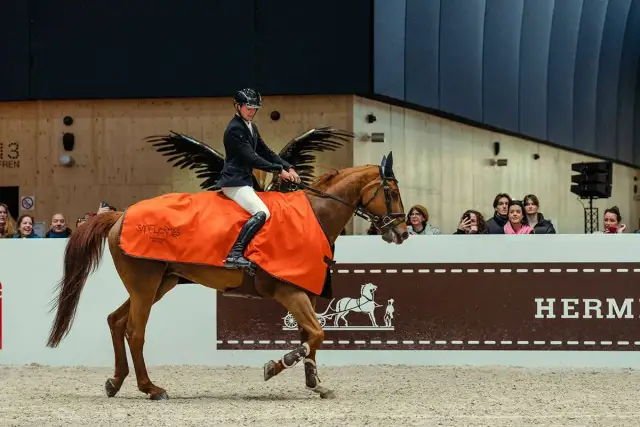 Jeździectwo w TV: Gdzie i kiedy oglądać emocjonujące zawody?