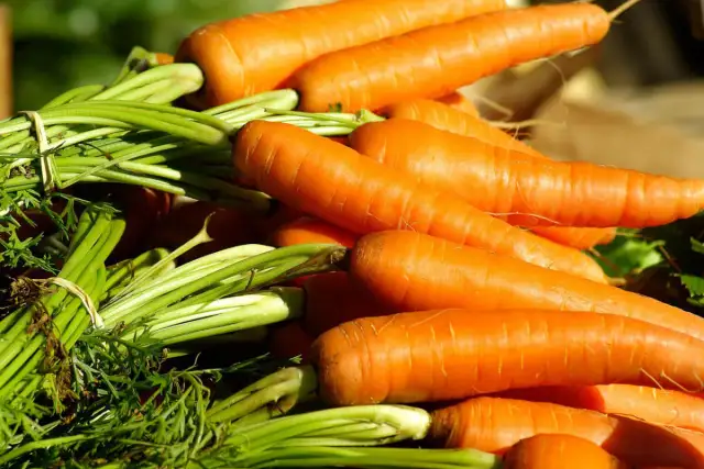 Uprawa marchwi: Poradnik krok po kroku. Od nasion do zbiorów.