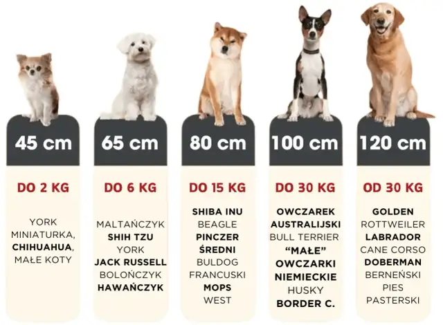 Idealne legowisko dla labradora i innych dużych psów. Tabela rozmiarów od 45 do 120 cm.