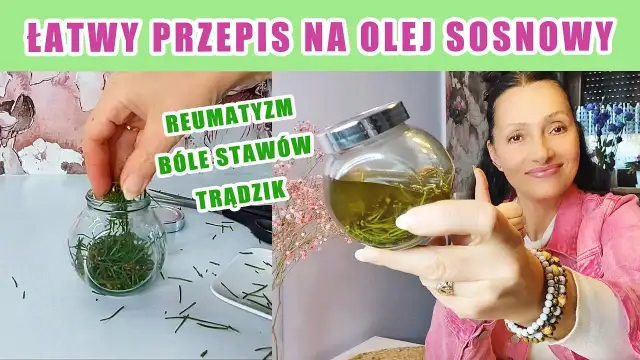Jak zrobić olejek eteryczny z sosny w prosty sposób w domu
