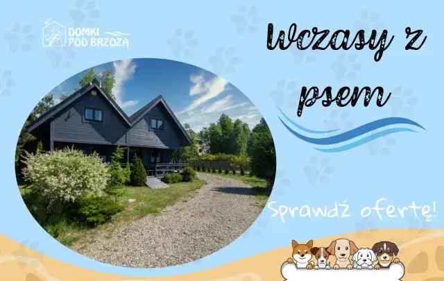 Noclegi z psem w Niechorzu: Wypoczynek z pupilem nad morzem