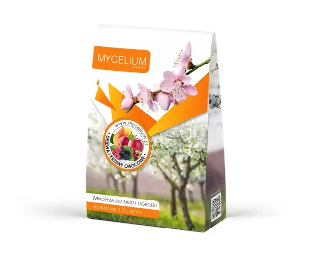 Mikoryza: Klucz do zdrowego i odpornego ogrodu. Jak ją stosować?