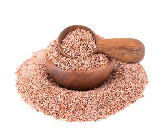 Skuteczne sposoby na przeczyszczenie psa – naturalne metody na zaparcia