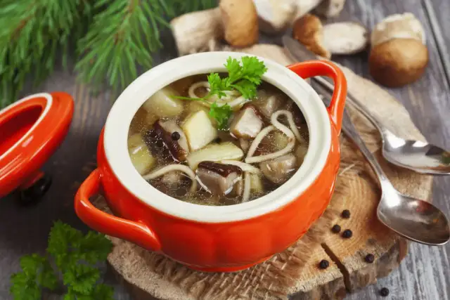 Aromatyczna zupa grzybowa ze świeżych grzybów, podana w pomarańczowym naczyniu, z gałązką natki pietruszki.