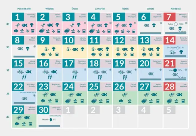 Kalendarz przesadzania roślin: Kiedy i jak to zrobić najlepiej?