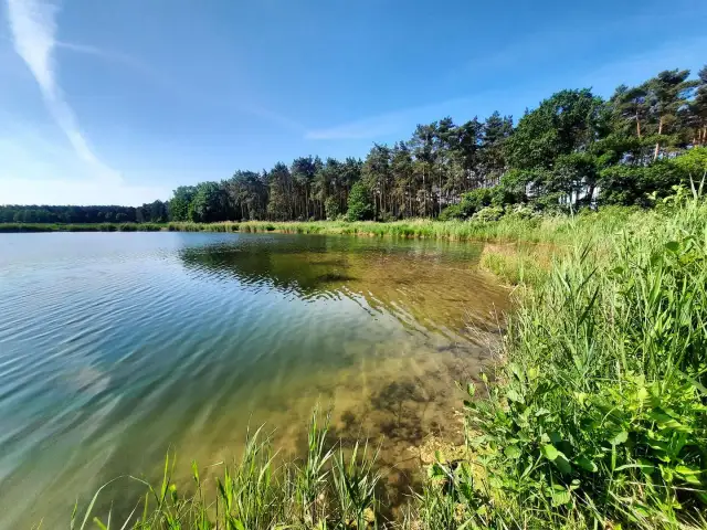łowisko u Macieja – idealne miejsce na wędkowanie w Mosinie